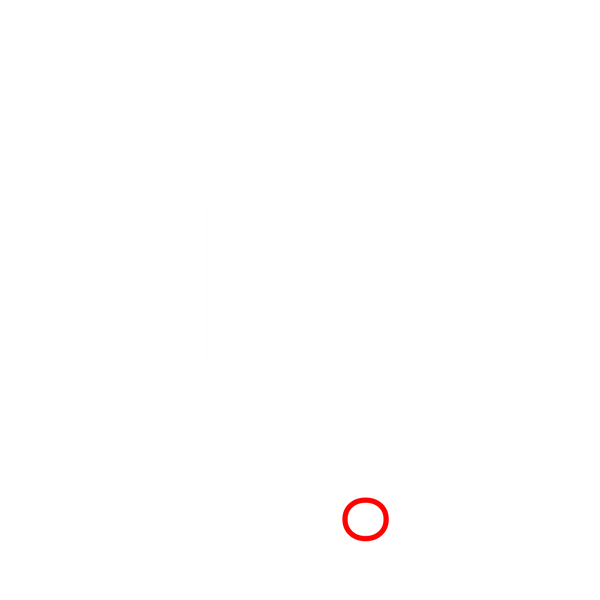 CHASING LUXURY logo